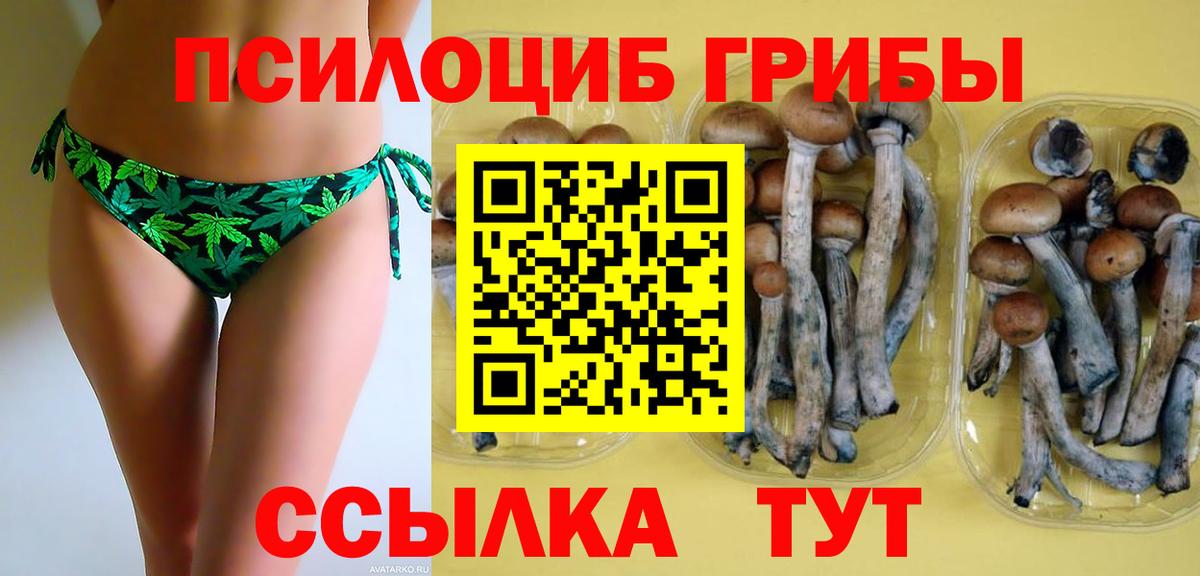 Псилоцибиновые грибы Psilocybine cubensis Лесозаводск